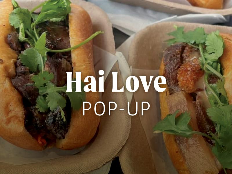 hai love banner