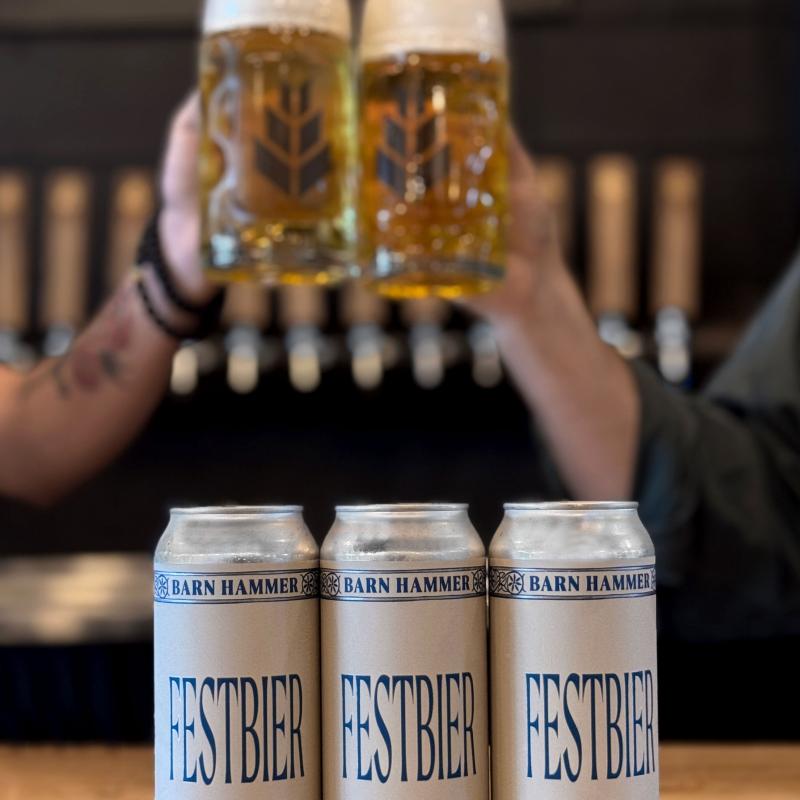 steins cheersing and cans